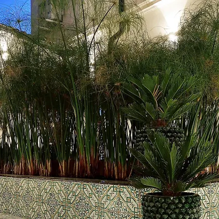 Apartament Aurispa 143 Con Piscina Centro *